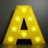 Lettre Frost LED de jour